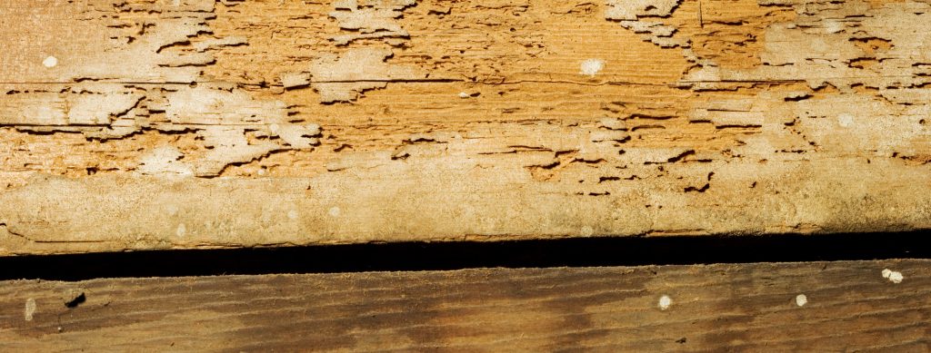 damaged wood floor